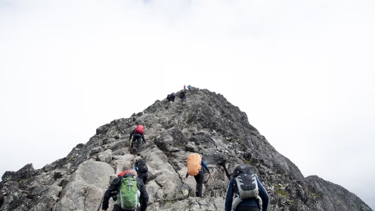 Get the full picture on people and their moves on the corporate jungle gym in CXO Moves. (Representative Image: Mathias Jensen via Unsplash)