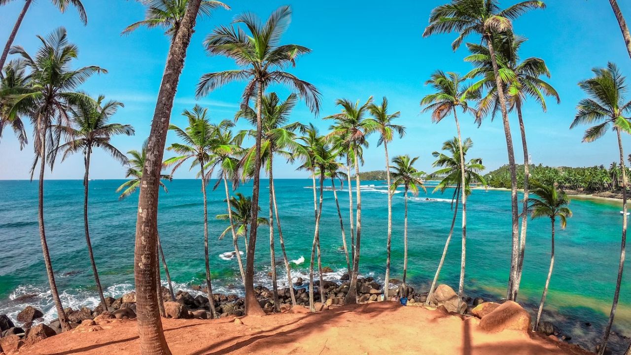 Tourists from these countries will be able to obtain visas when visiting Sri Lanka, without a fee. India is traditionally Sri Lanka’s top inbound tourism market. In September 2023, arrival figures from India topped with over 30,000 Indian tourists visiting the neighbouring country. (Representative Image: Dinuka Lankaloka via Unsplash)