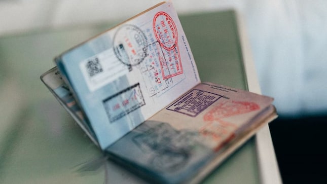 During the ICC Champions Trophy in Dubai, there was a notable spike in sports-related travel. Overall bookings to Dubai rose by nearly 45%. (Image: Unsplash)