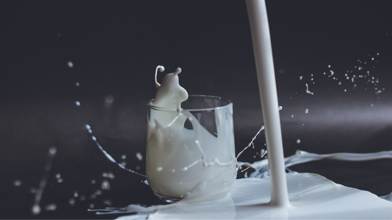 Under the leadership of Dr. Kurien, Operation Flood was launched in 1970 to form a nation-wide milk grid connecting milk producers and customers. This was to increase milk production and regulate variations in prices. Sustaining the appeal of milk as a drink was vital in this effort. (Image: Representative image via Unsplash)